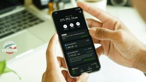 ¿Qué les interesa a los argentinos sobre criptomonedas?