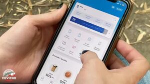 Mercado Pago permitirá invertir dólares a través de su aplicación móvil