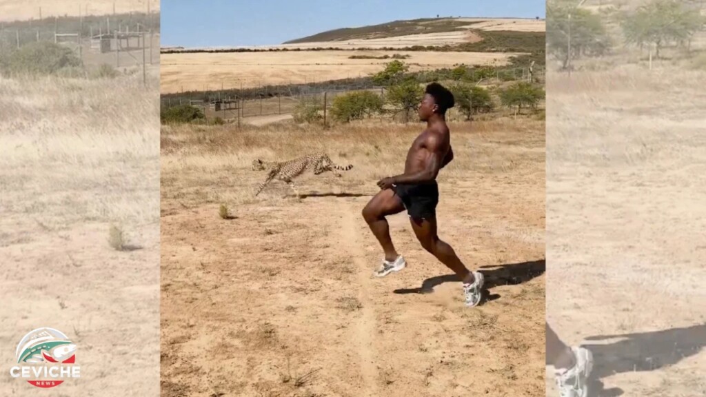 IShowSpeed corre contra un guepardo en África y se vuelve viral: ¿Como le fue?