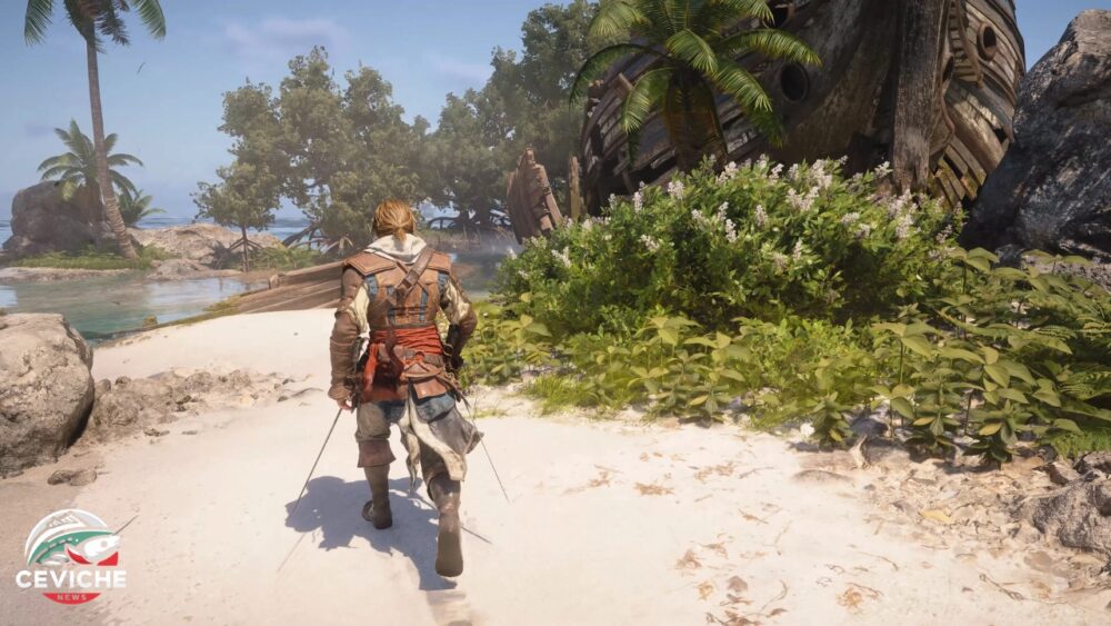 Cómo conseguir piel de conejo en Assassin’s Creed Black Flag Resynced